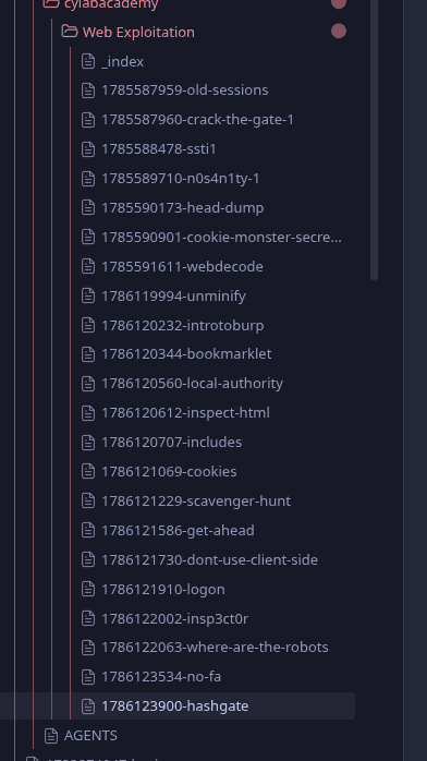 the CTF writeup vault, one note per solve