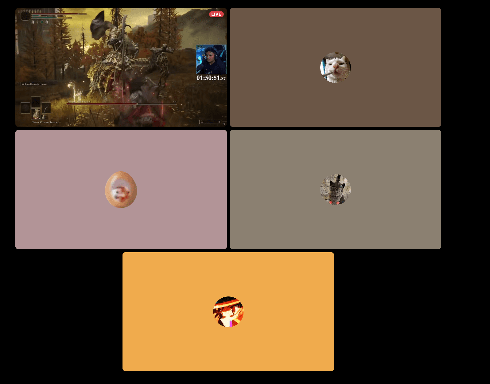 the lineup